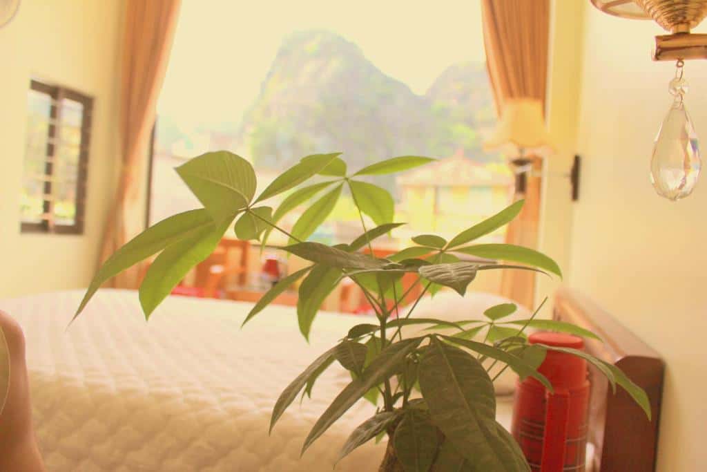  justfly phong superior double or twin sierra homestay ninh binh