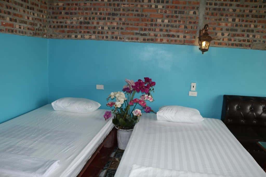 phong twin hang mua homestay ninh binh