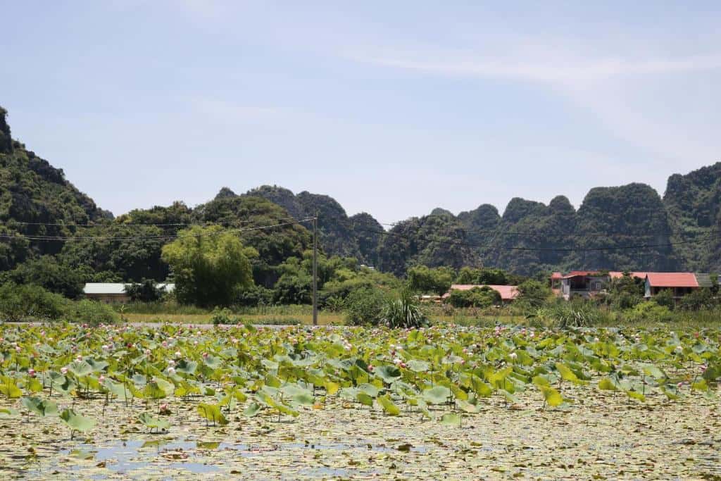 Hang Mua Valley Homestay - Triple Room, Ninh Binh — ảnh 6