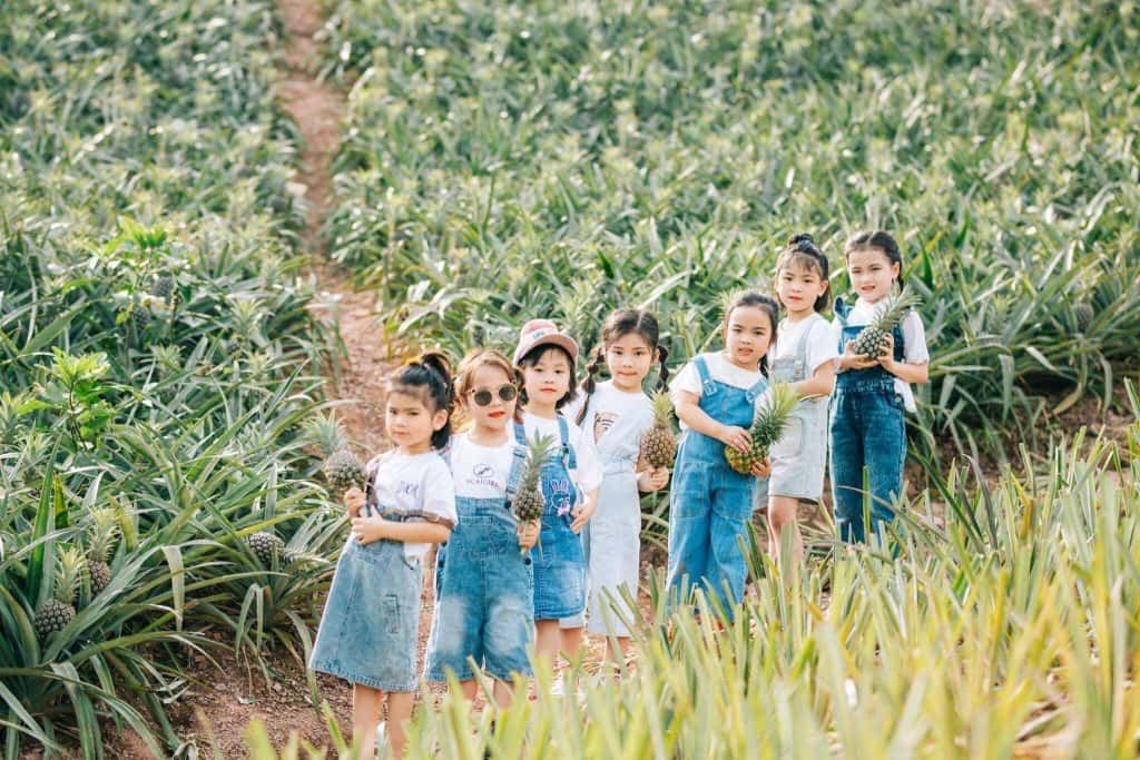 doi dua tam diep dia diem du lich ninh binh attnib16