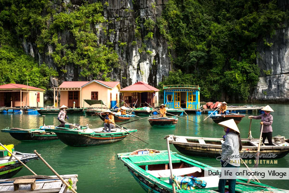 singnature cruise 12 cabins cruise ha-long bay