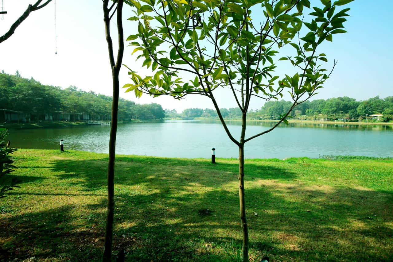 a18 flamingo dai lai