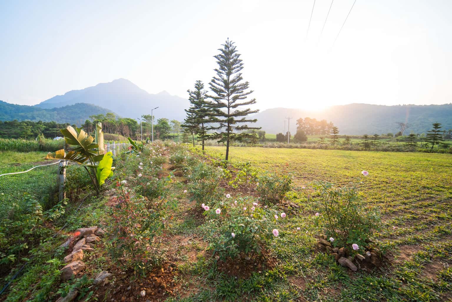 Tản View Villa Nguyên Khu, Ba Vì — ảnh 38