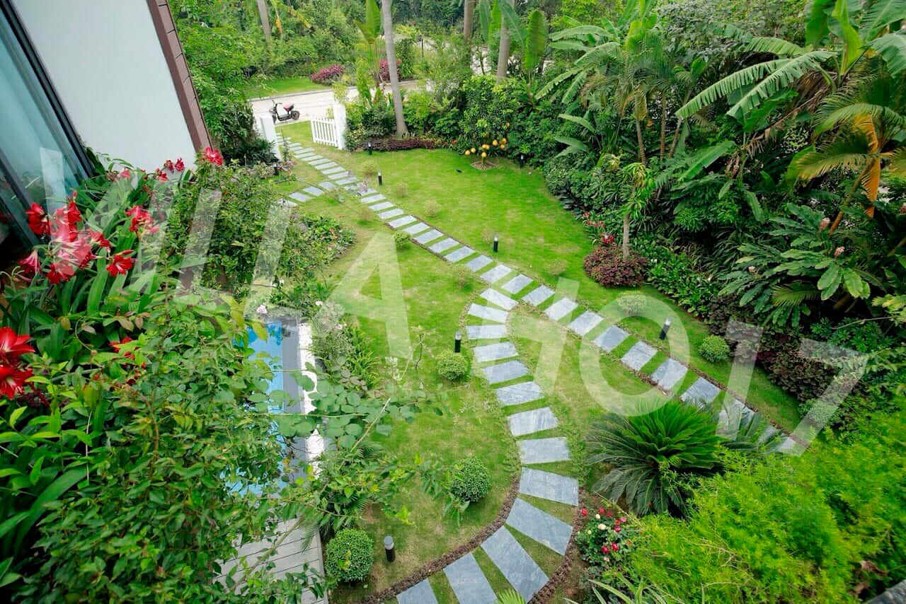 ho17-flamingo-dai-lai-vinh-phuc