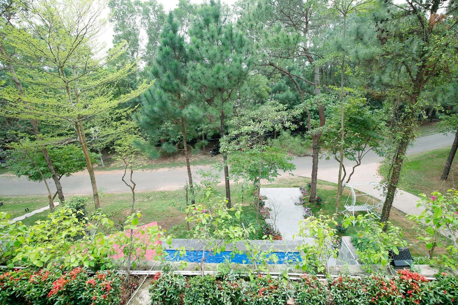 宽阔花园
