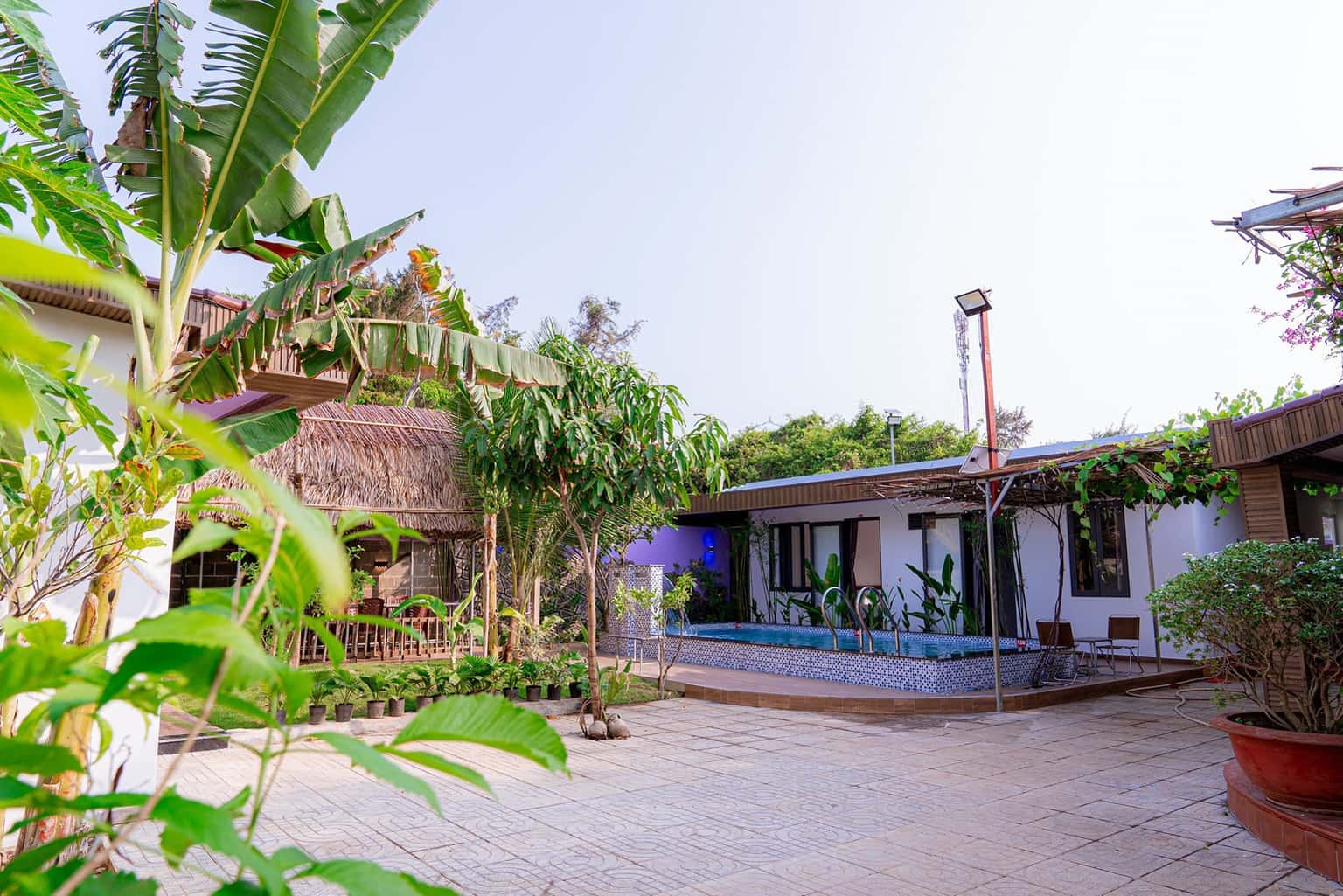 Spacious garden