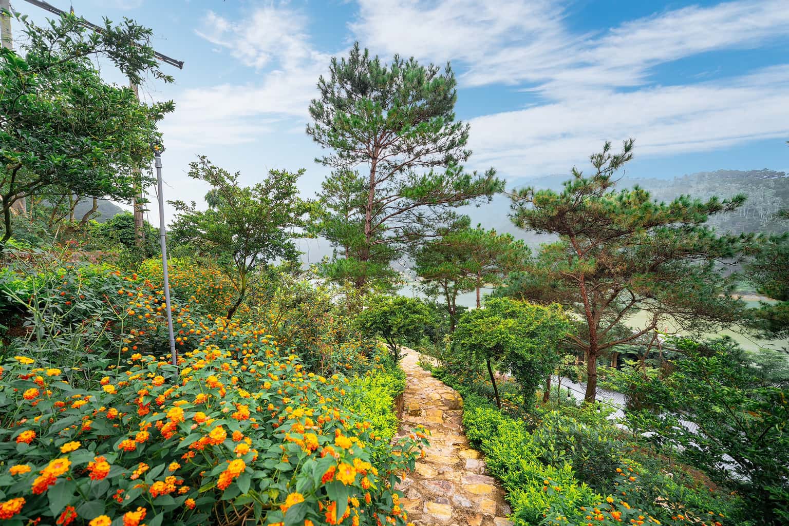 Pine Hill (Moon Retreat) tại hồ Đồng Đò, Sóc Sơn — ảnh 8