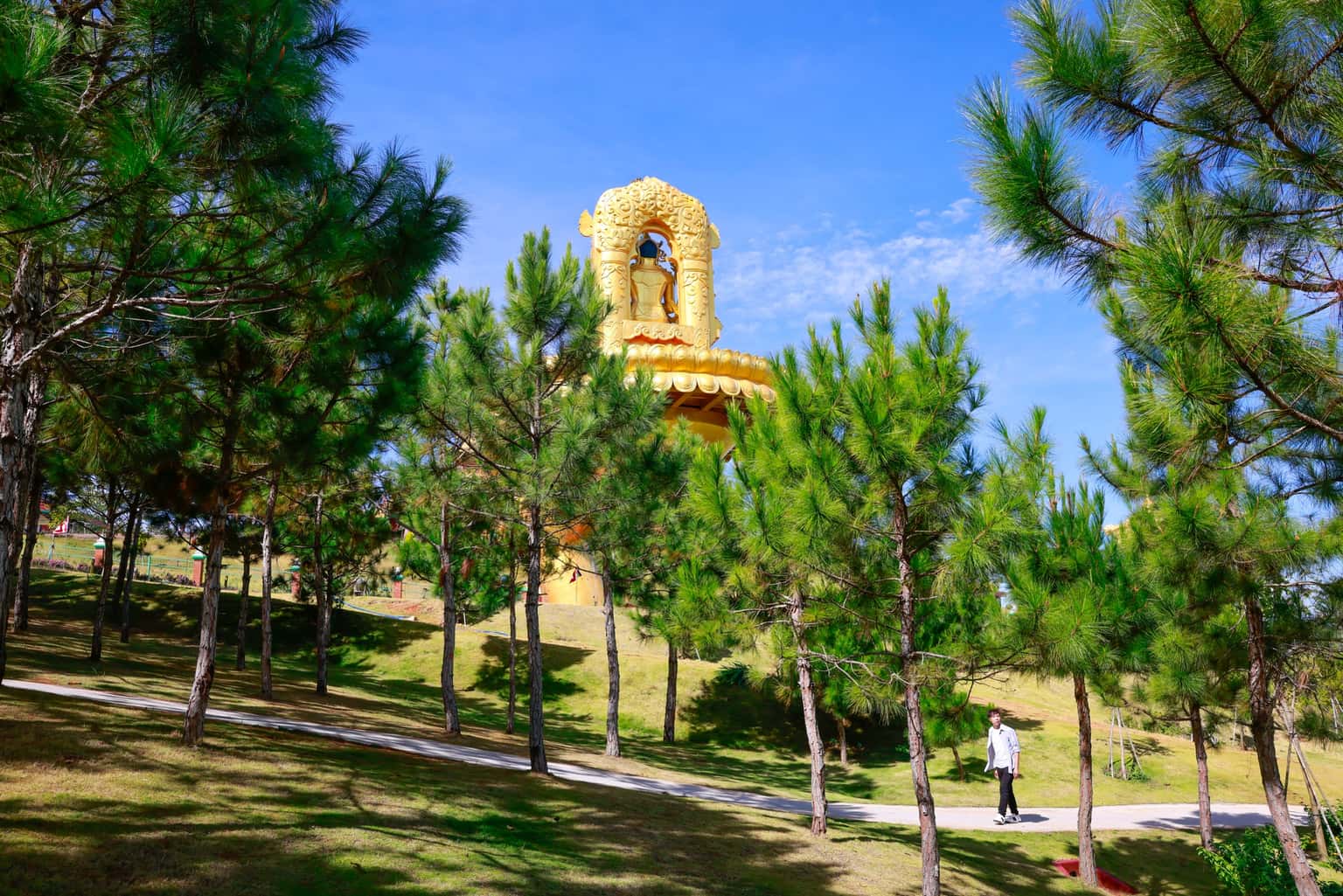 justfly samten hills da lat 
