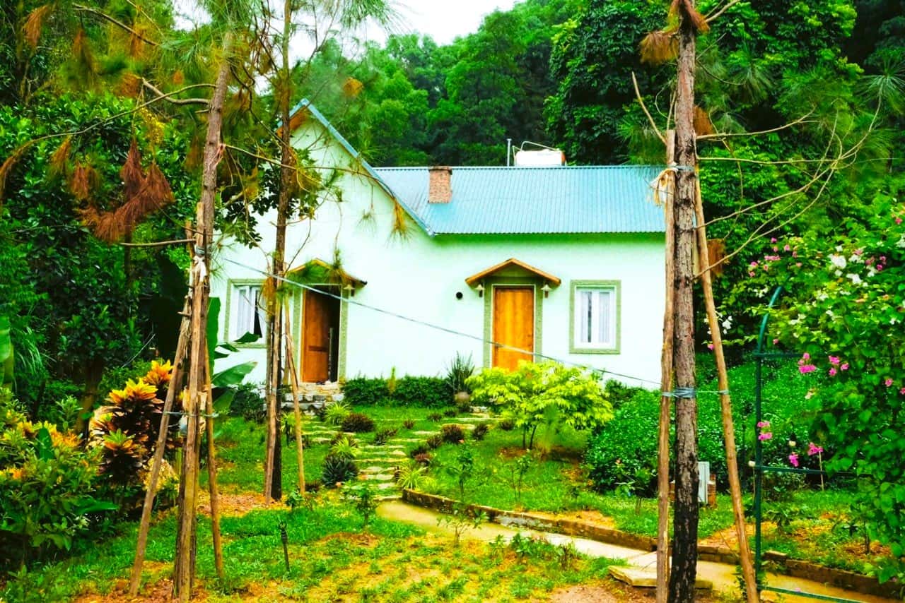 Vẩy Ốc House (Maison in Forest) in Minh Trí, Sóc Sơn — photo 7