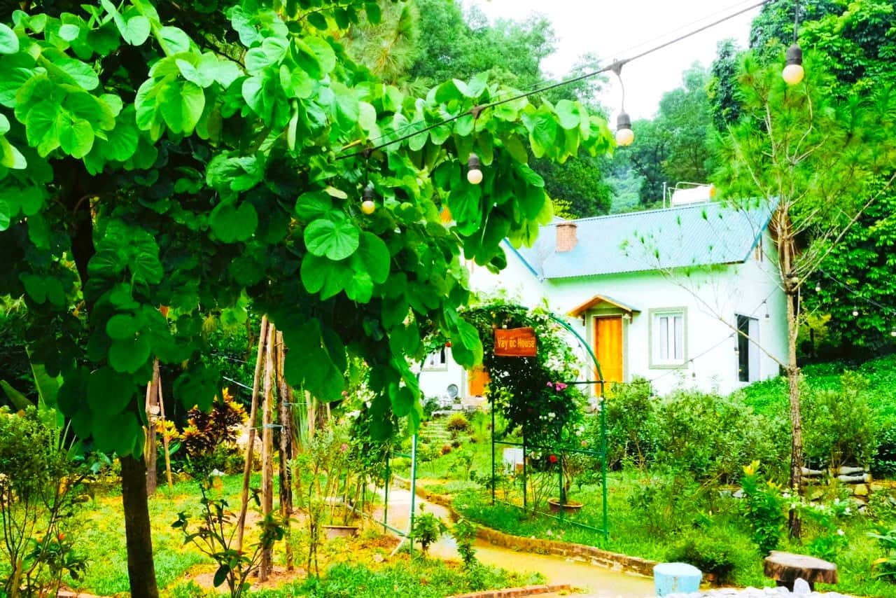 Vẩy Ốc House (Maison in Forest) in Minh Trí, Sóc Sơn — photo 8