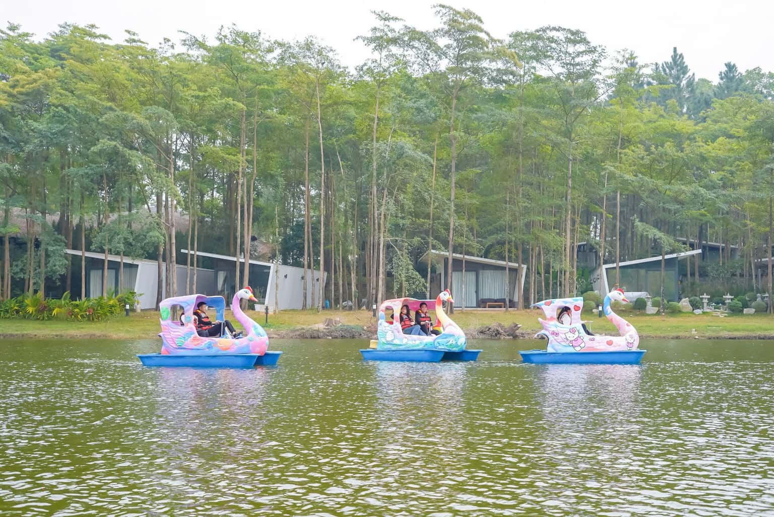 Hồ Bách Thanh Đại Lải — ảnh 3