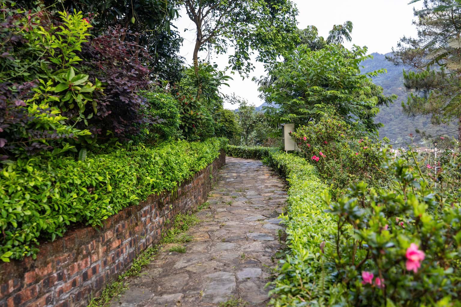 Windy Hill (Moon Retreat) tại hồ Đồng Đò, Sóc Sơn — ảnh 12