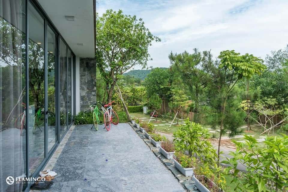 Xe đạp 