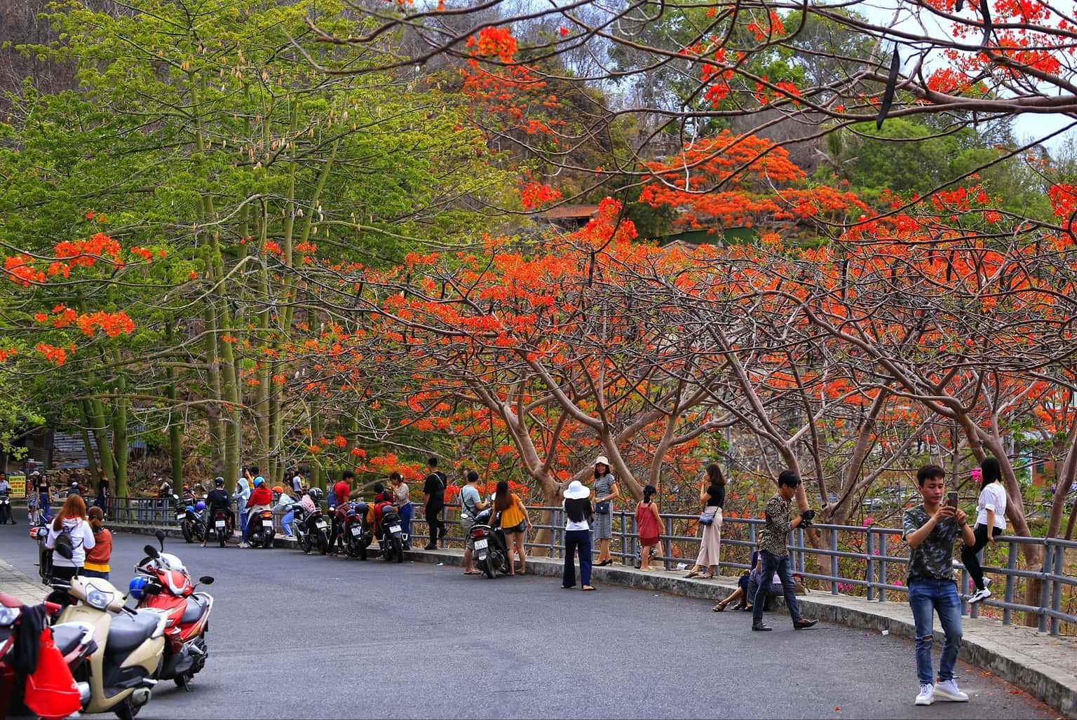 Ngọn Hải Đăng Vũng Tàu  — ảnh 21