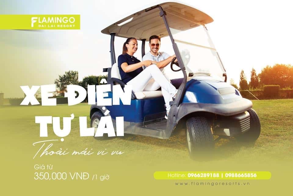 Xe điện tự lái 