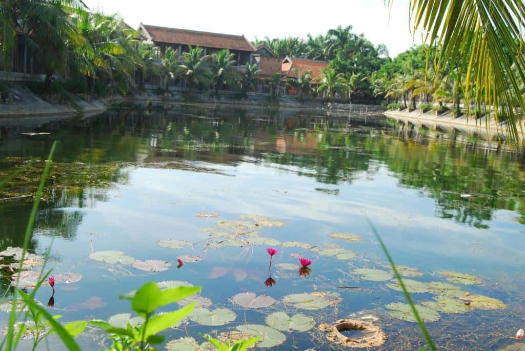 justfly tam coc westlake homestay ninh binh