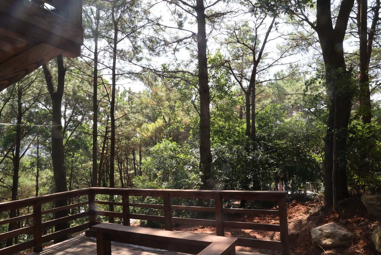 justfly room 6u amaya retreat soc son ha noi