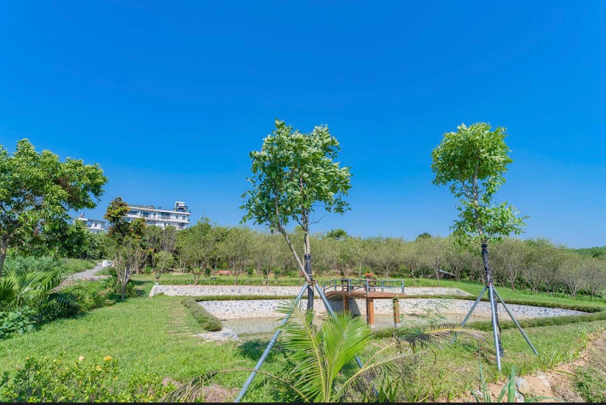 justfly ami villa ba vi