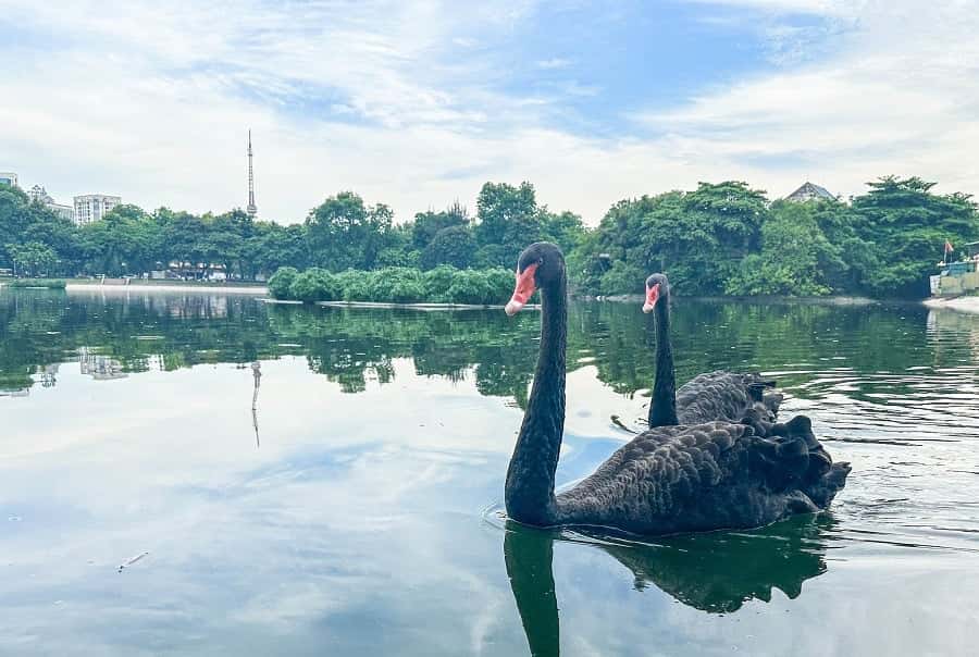 justfly ho thien quang hanoi
