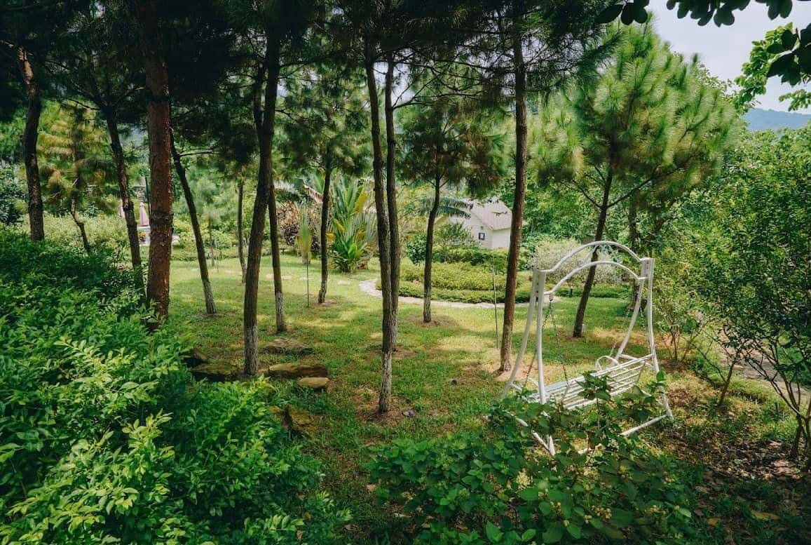 Xích đu 