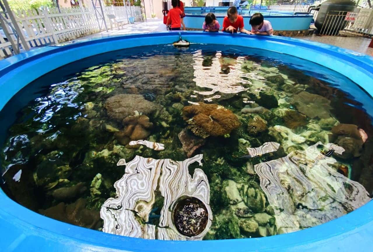 vien hai duong hoc nha trang dia diem du lich nha trang attcxr25