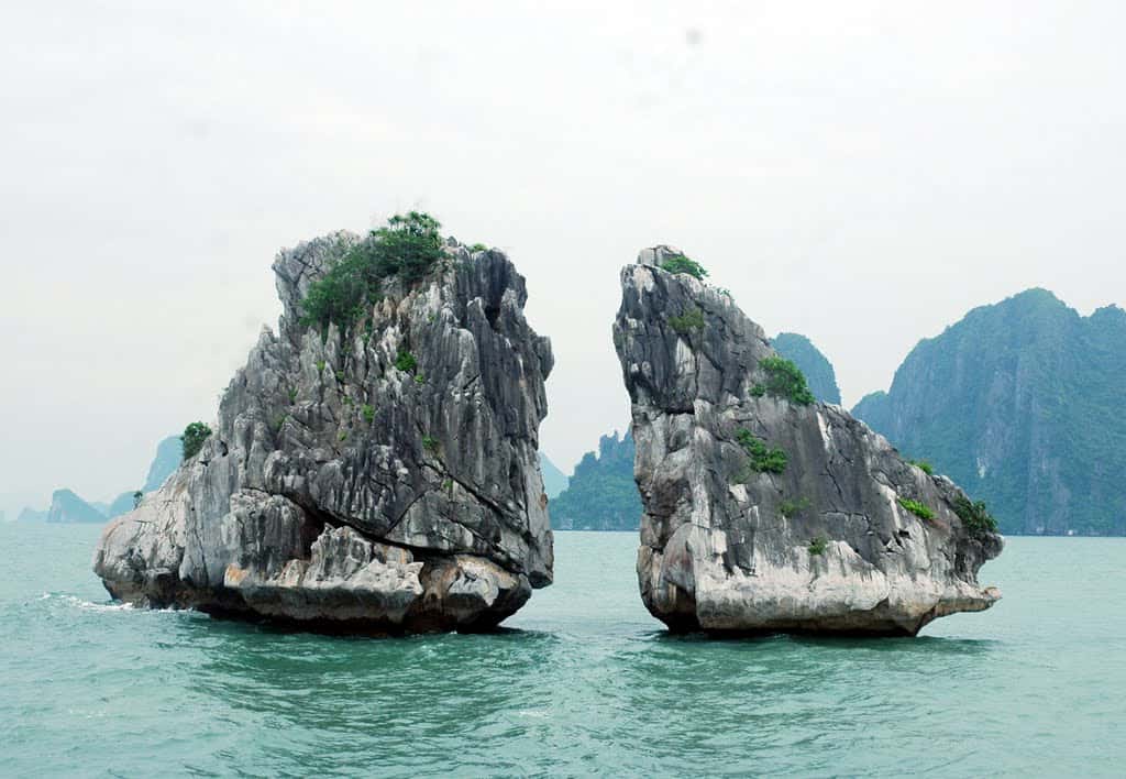 Hòn Gà Chọi, Hạ Long — photo 14