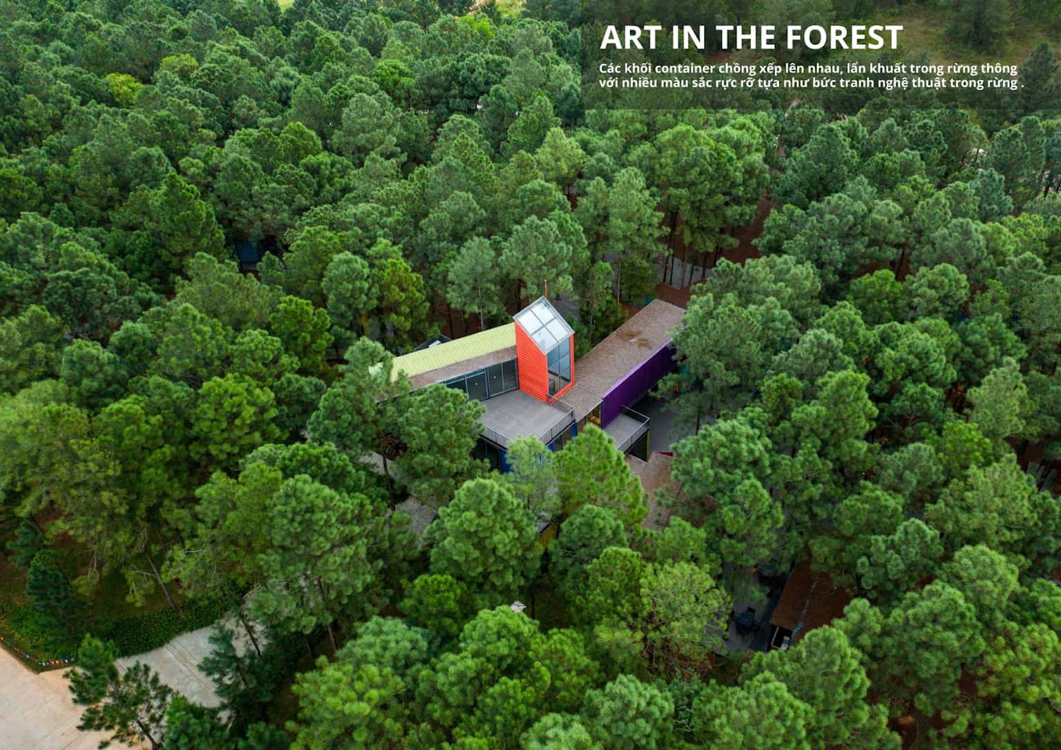 Art in the Forest Flamingo Đại Lải — 照片 1