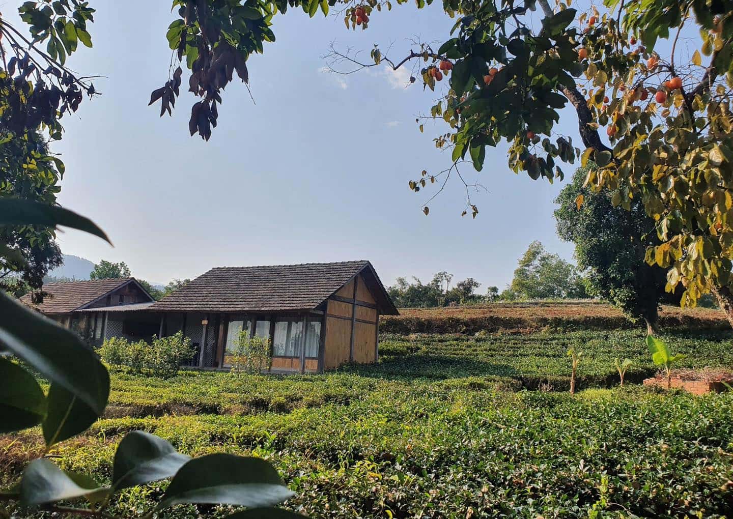 Bungalow 5 (6nature Bavi Retreat), Ba Vì — ảnh 14