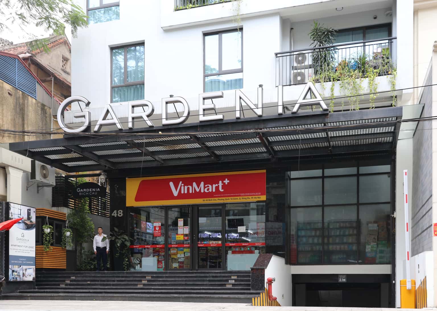 sophie gardenia bich cau dong da