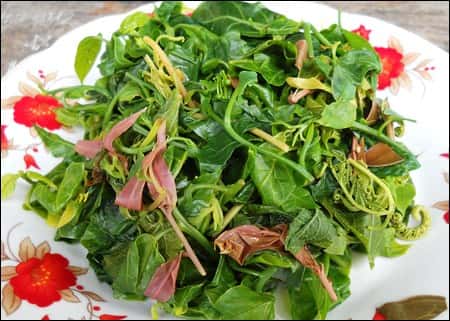 Khu du lịch Thác Đa, Ba Vì — ảnh 15