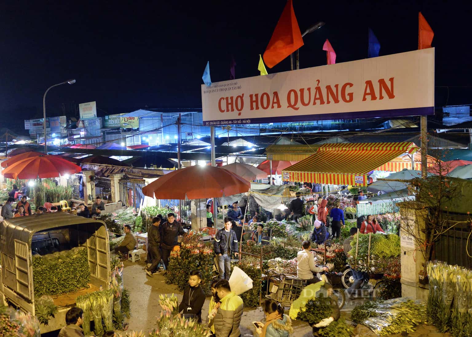 justfly cho hoa quang ba hanoi