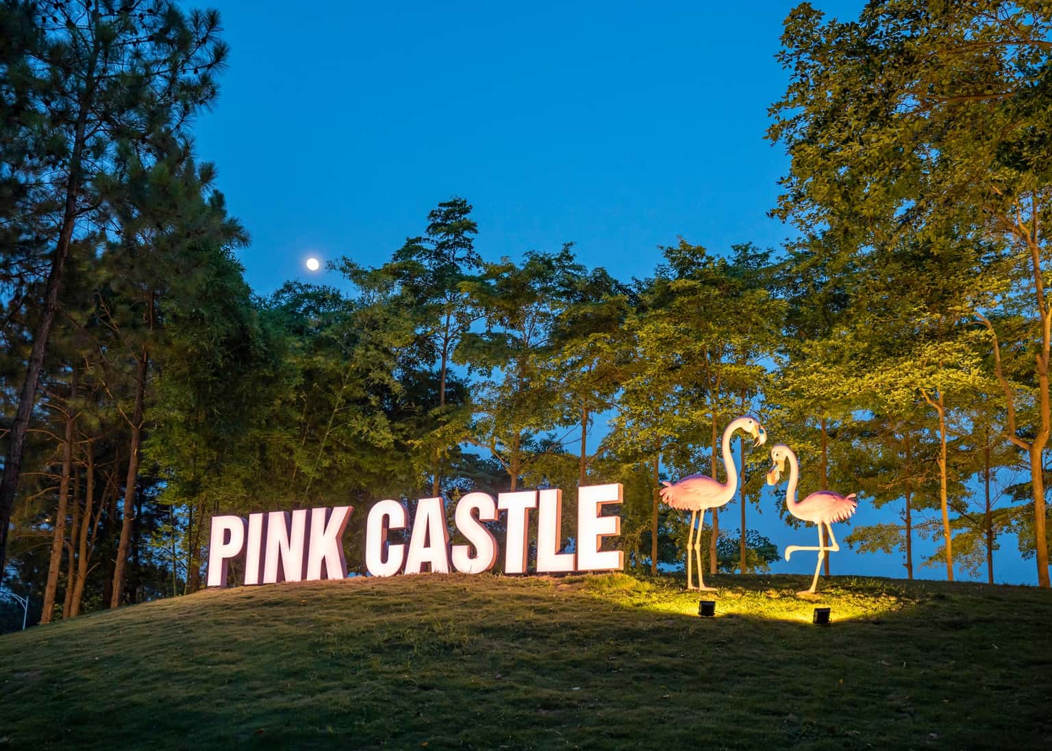 Pink Castle与Flamingo Đại Lải巧克力博物馆 — 照片 14