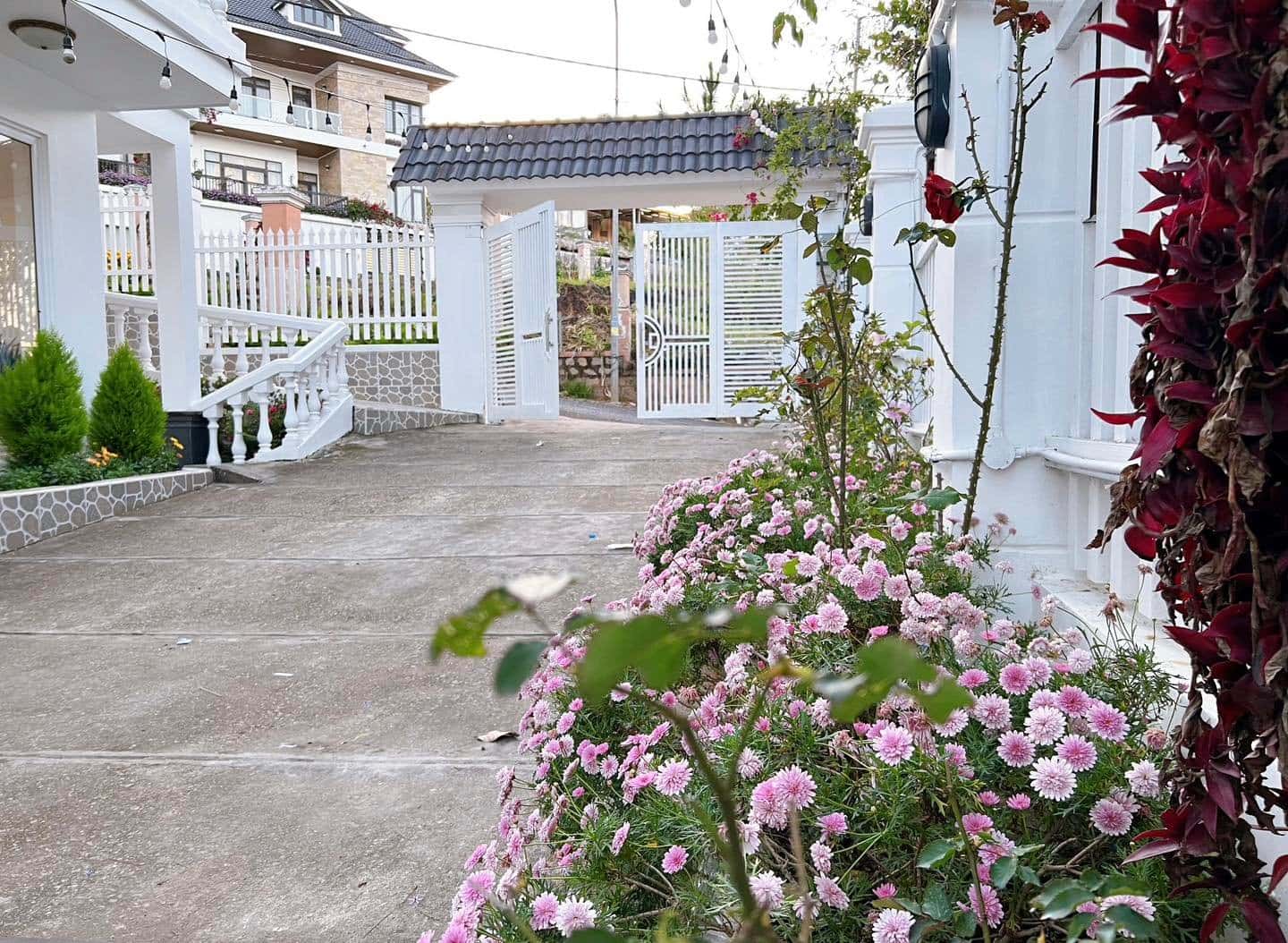 Nhà Của Bắp, Đà Lạt — ảnh 9