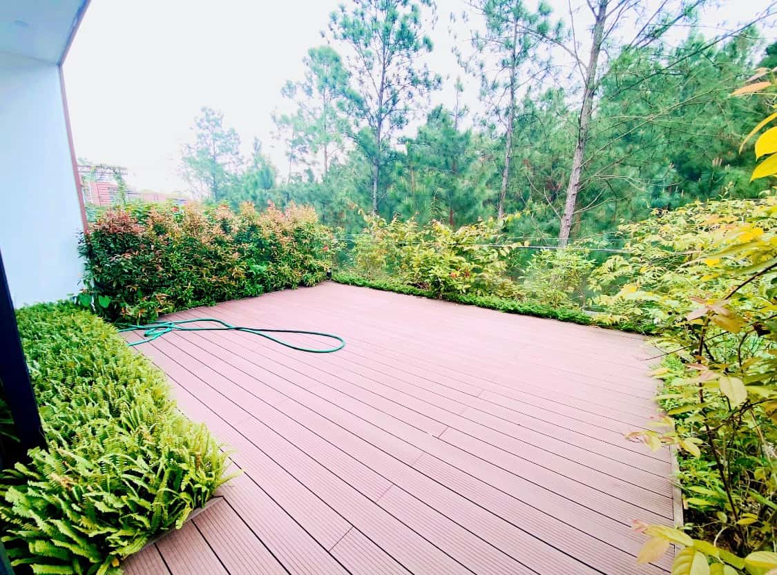 Balcony with pine forest view