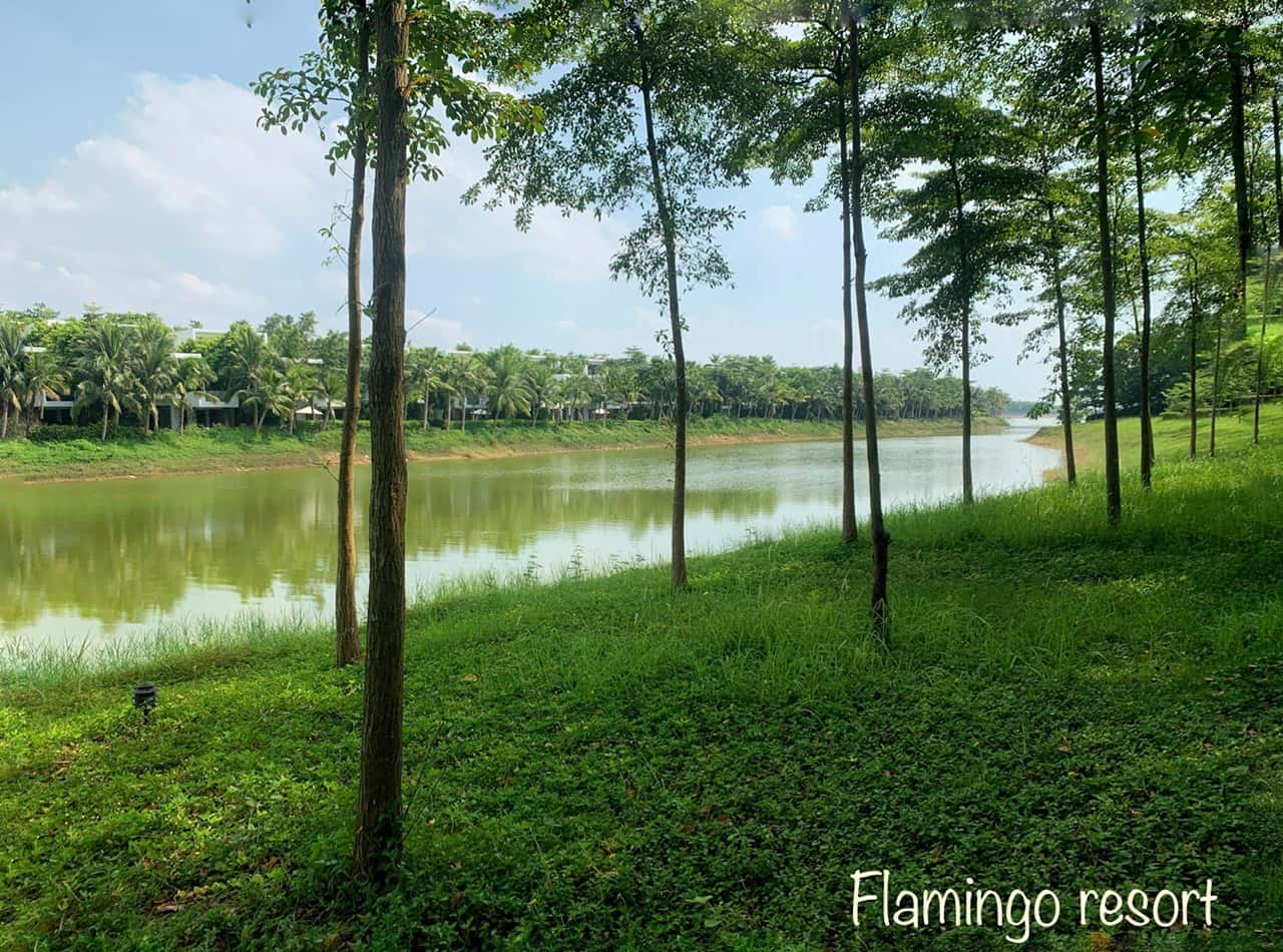 justfly e14 villa flamingo dai lai vinh phuc