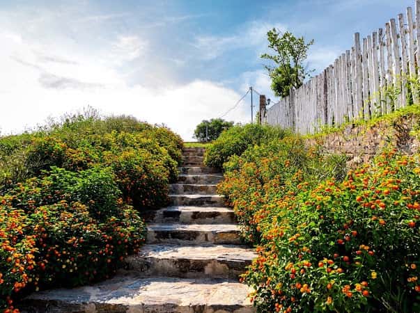 BB Homestay, Sóc Sơn () — ảnh 13