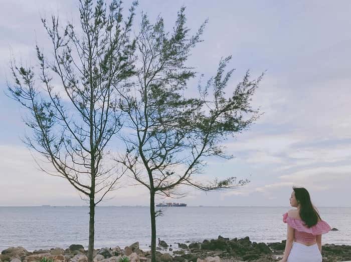 huong dan du lich bai sau vung tau