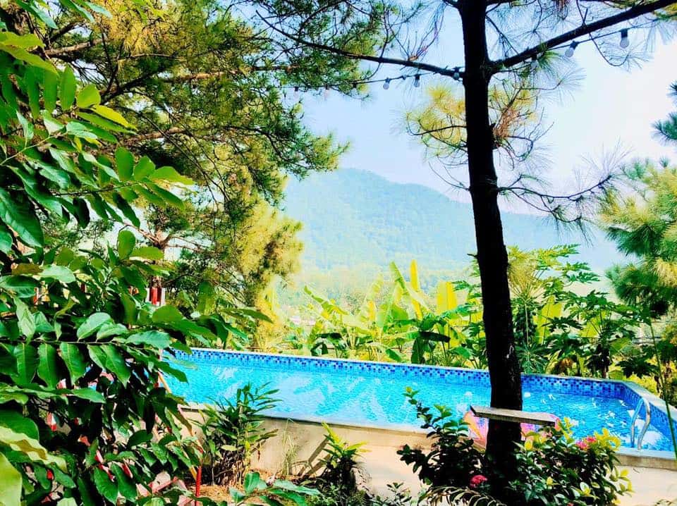 Pine Tree House - Ánh Trăng, Sóc Sơn () — photo 9