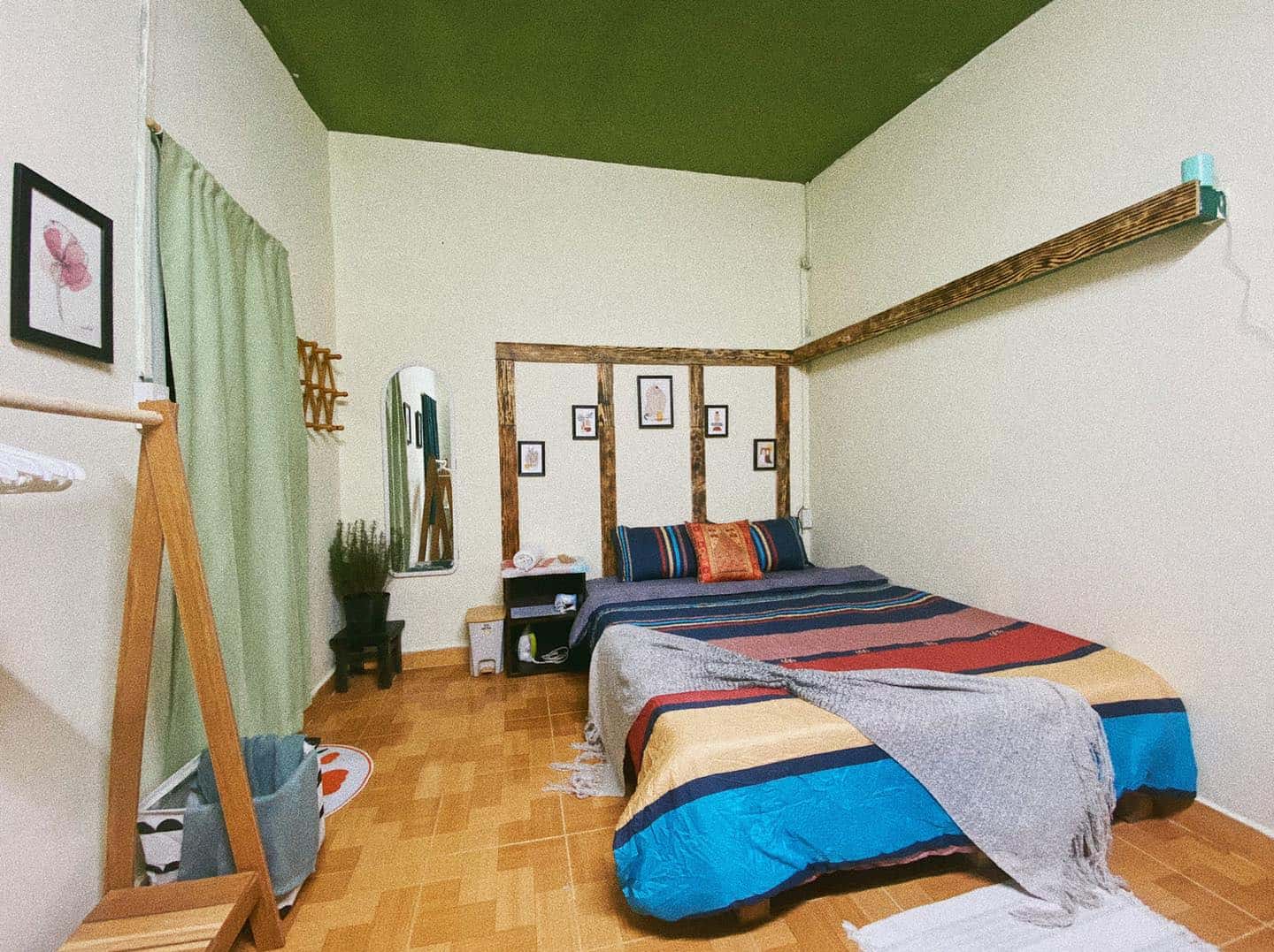 Mèo Xiêm, Đà Lạt — ảnh 22