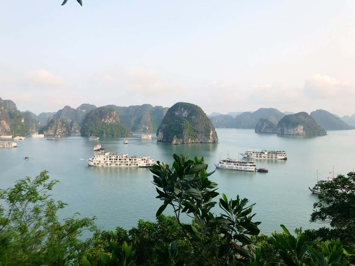 lavender elegance cruise ha long