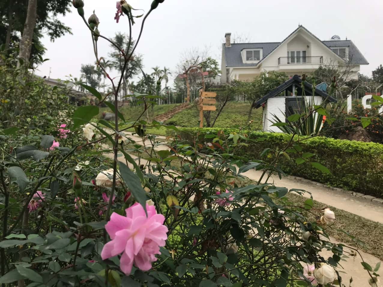 Tường Vi Villa (Le Farm) tại Vân Hòa, Ba Vì — ảnh 6