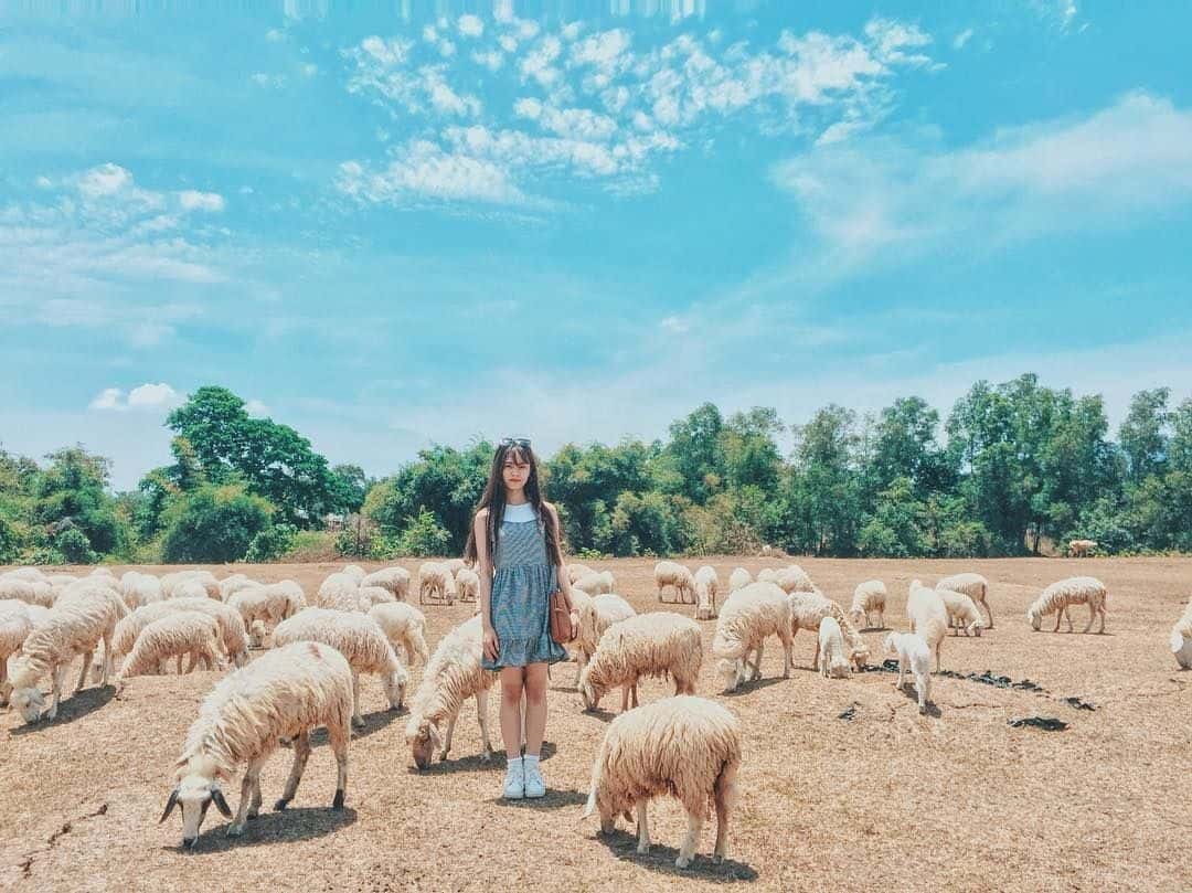 doi cuu suoi nghe dia diem du lich vung tau attvut26