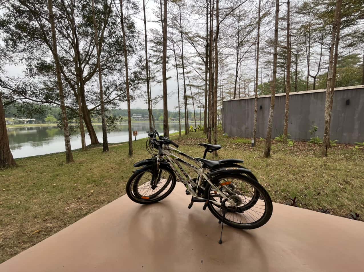 Villa R308, Flamingo Đại Lải — photo 14