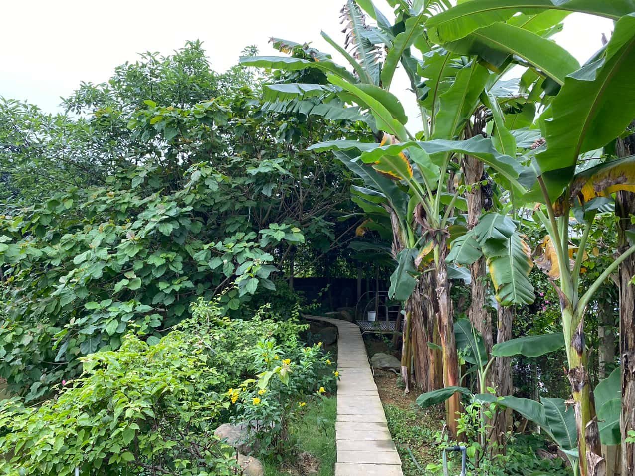 vro villa ba vi ha noi