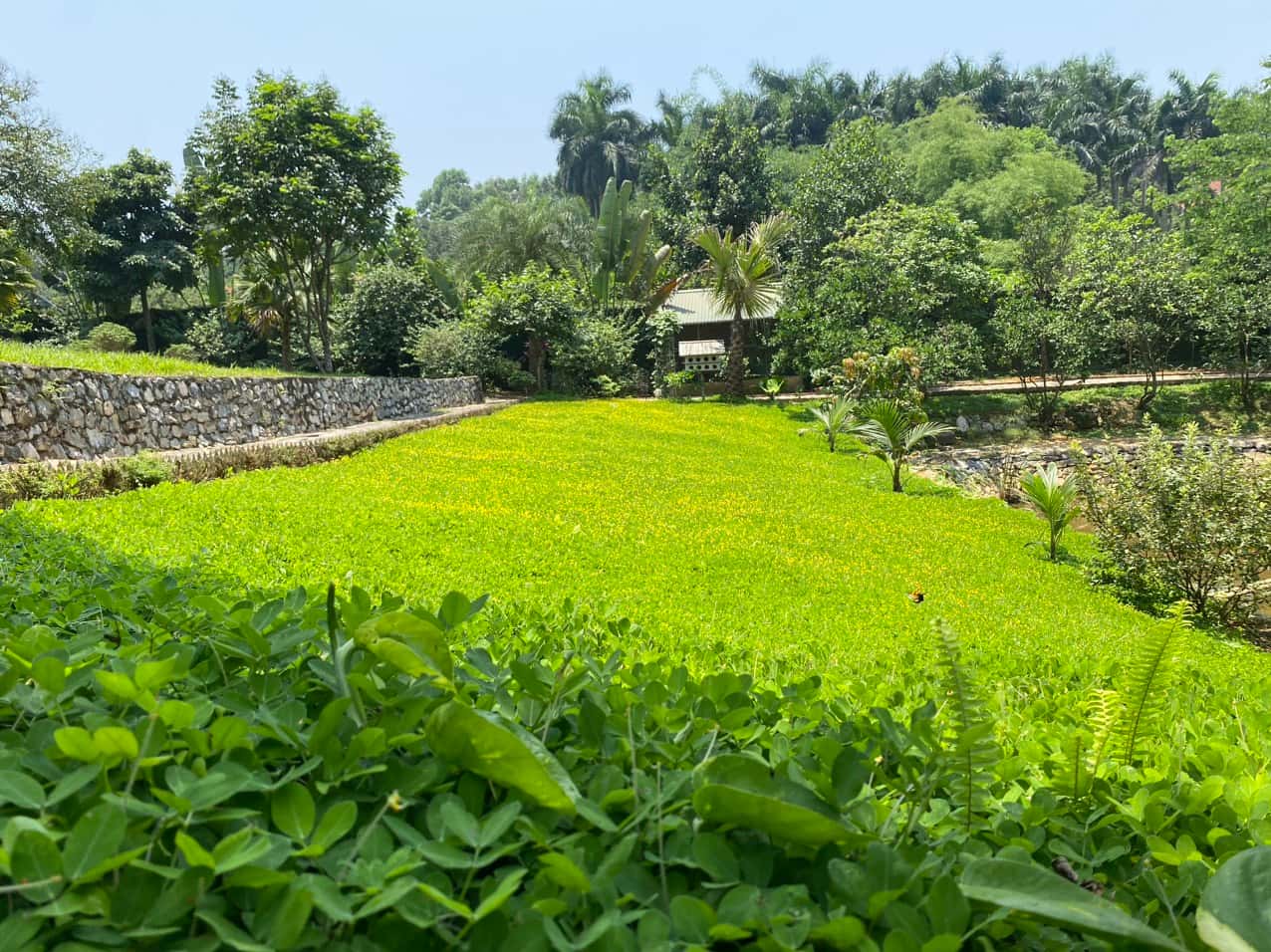 Green Hill Homestay tại Vân Hòa, Ba Vì — ảnh 16