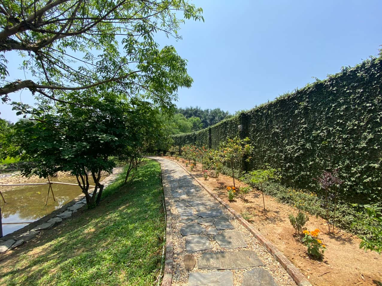 Green Hill Homestay tại Vân Hòa, Ba Vì — ảnh 31