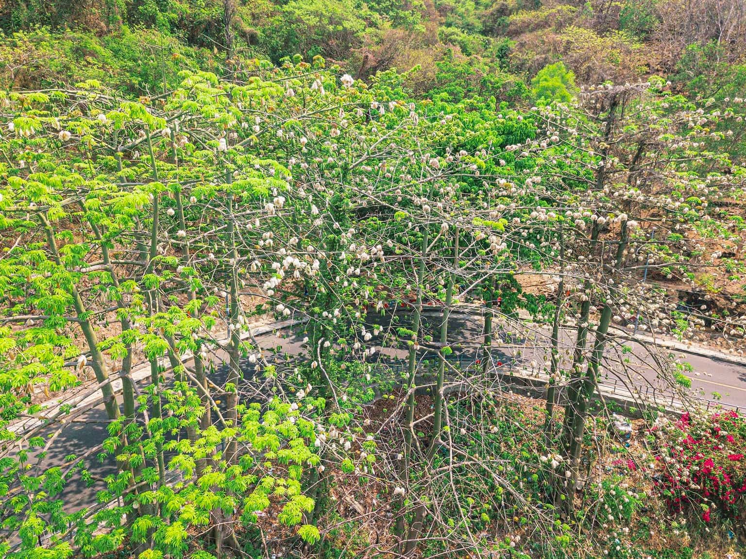 Ngọn Hải Đăng Vũng Tàu  — ảnh 4