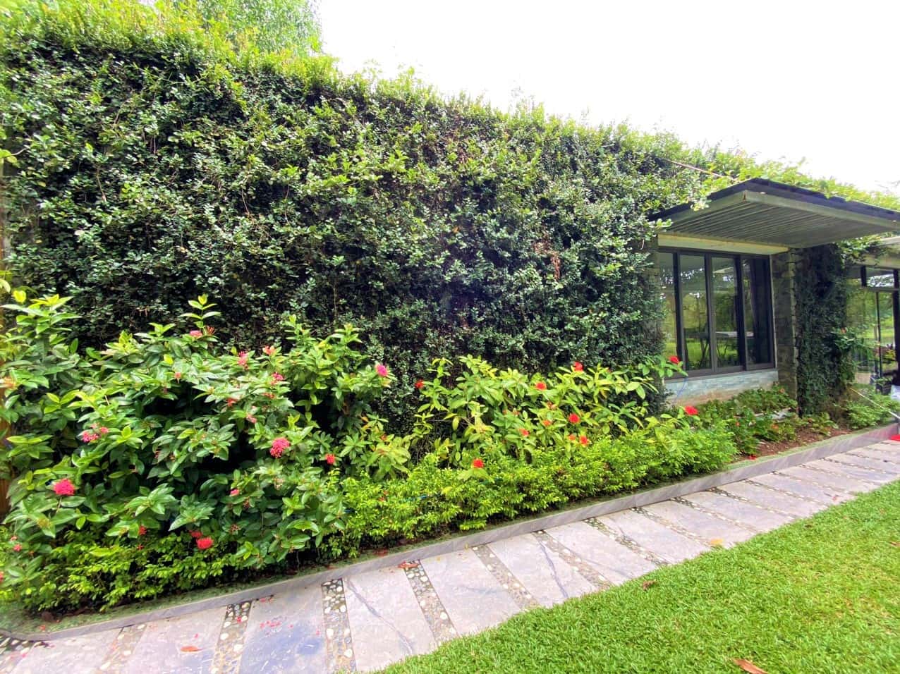 Villa A12, Flamingo Đại Lải — photo 5