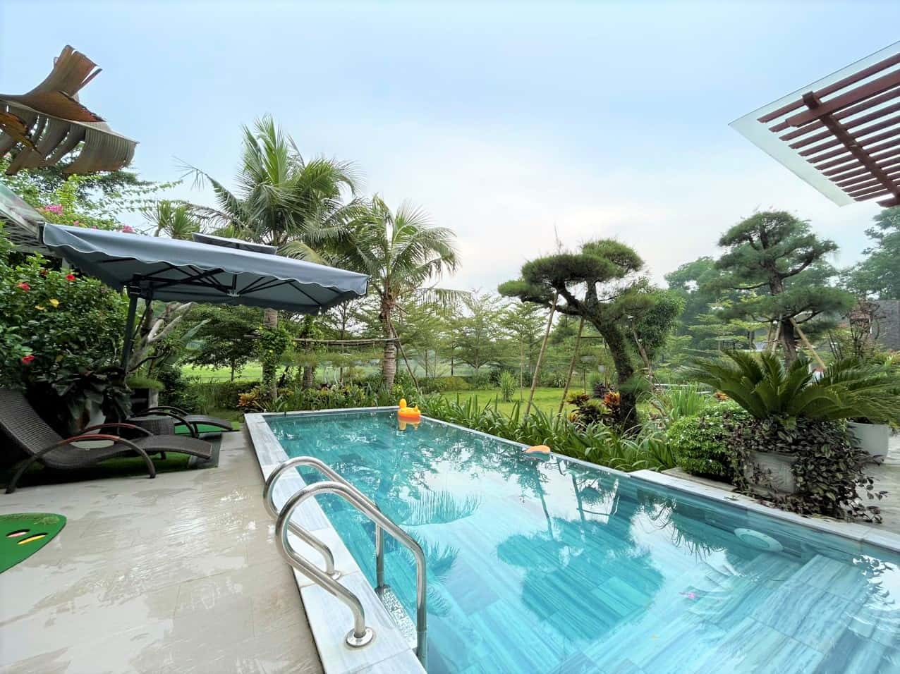 Pool chairs