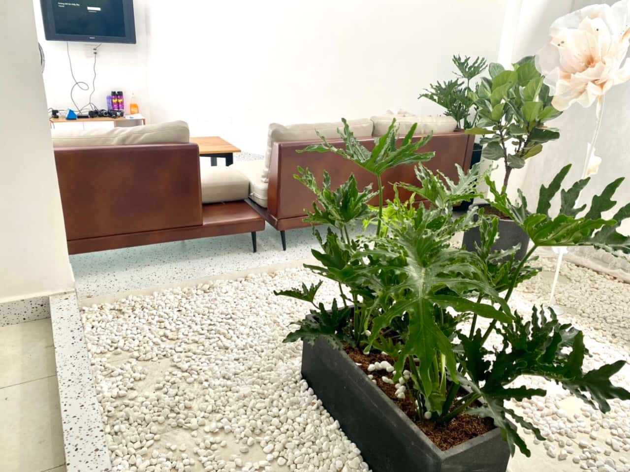 Villa 6 Nguyễn Biểu, Vũng Tàu — ảnh 18